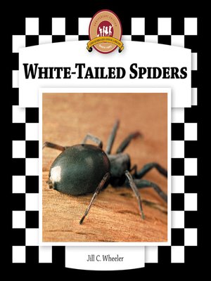 cover image of White-Tailed Spiders